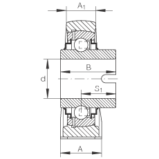 直立式軸承座單元 RASEL20-N, 鑄鐵軸承座，浮動(dòng)軸承，內(nèi)圈有驅(qū)動(dòng)槽，R 型密封